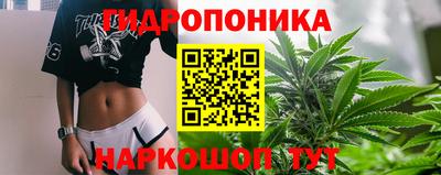 дмт Бийск