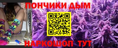 дмт Бийск