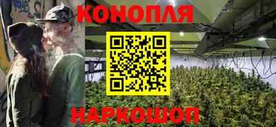 дмт Бийск