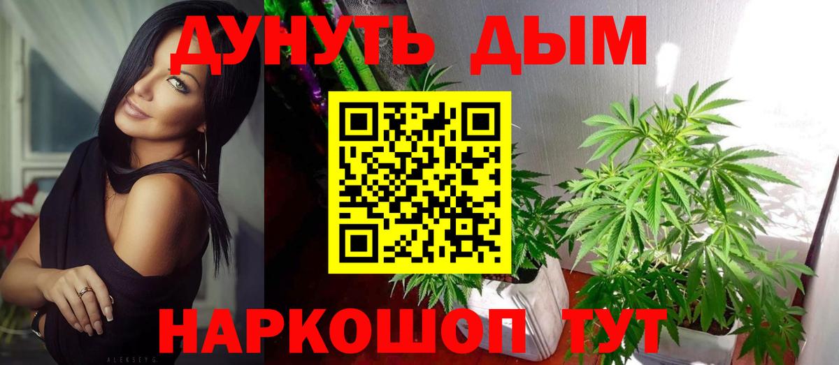Всеволожск  Конопля план  Вход с VPN  Шишки марихуана индика  Конопля ГИДРОПОН  Канабис сатива 